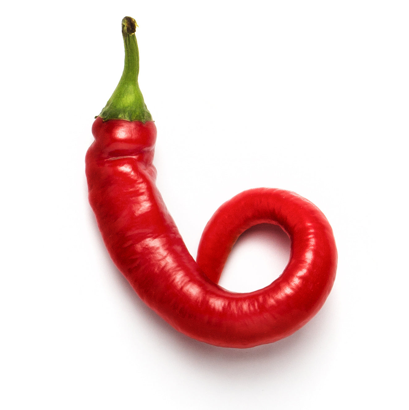 Chili pepper